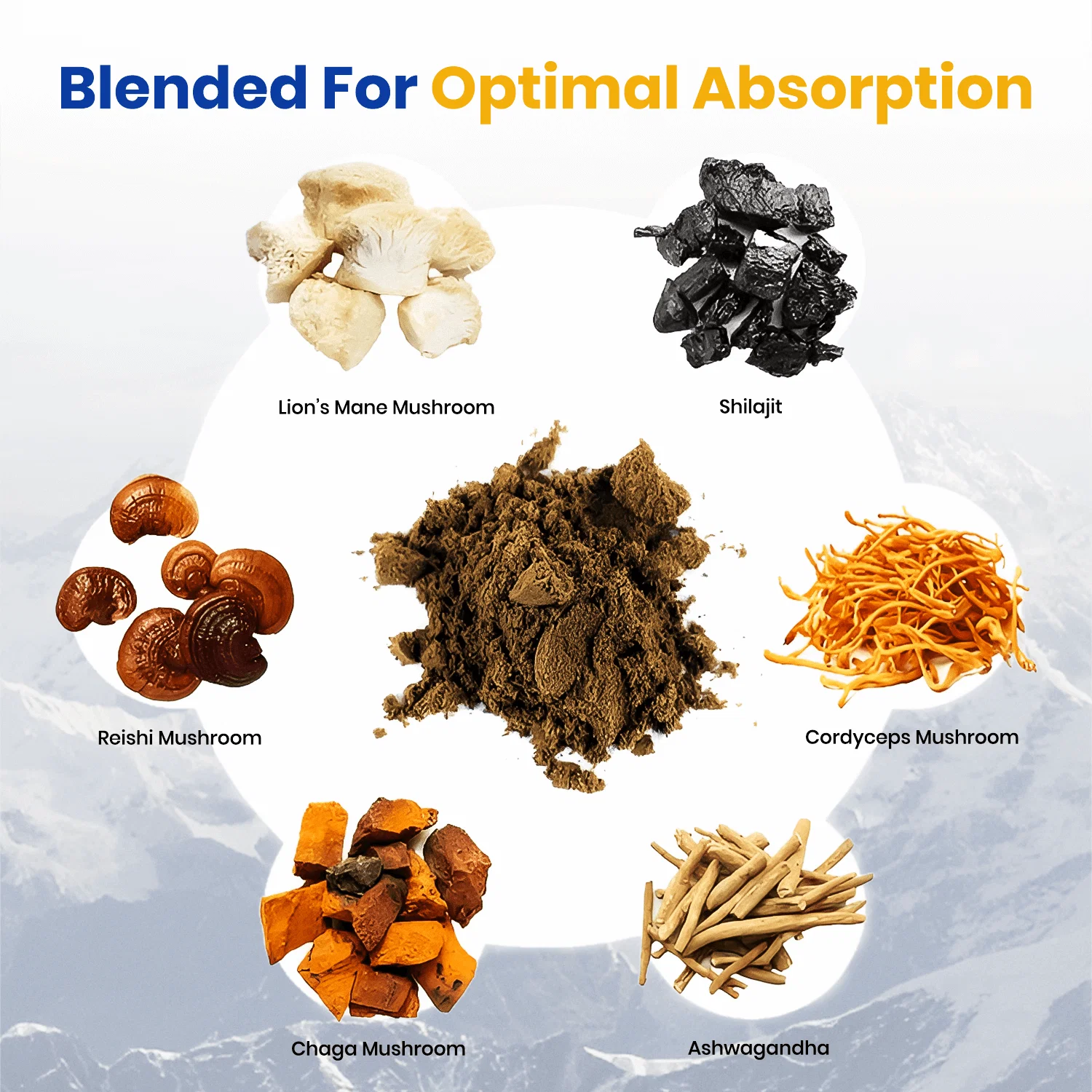 6 in 1 Shilajit Ashwagandha Mushroom Capsules - Image 3