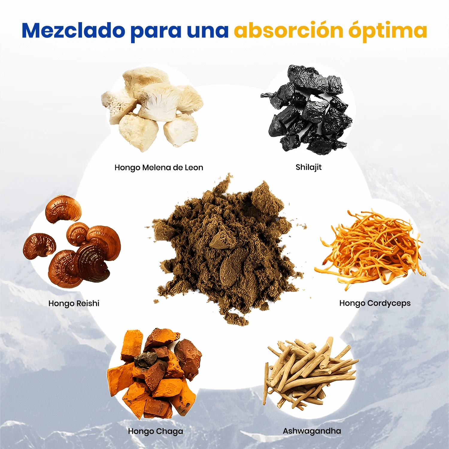 REGRESA 6-in-1 Stress Support Formula - Image 6