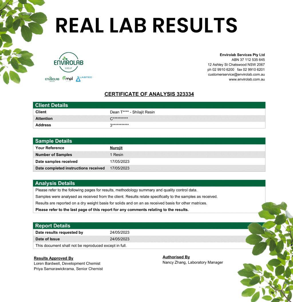 Raw Honey Shilajit Resin (AU only) - Image 6